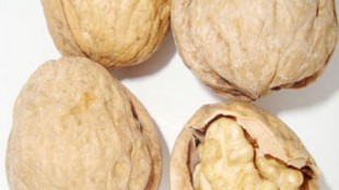 Franquette
